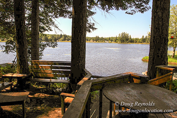 Richter Lake House-8351