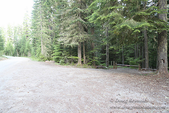 timathy Northwest Side-14513