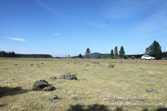Ranch 18 South side of Hwy  has 2500 Acres of green fields Creeks water crossing Bridges on a Large Lake and miles of Dirt roads Oak trees  Forest land ATV Trails cows