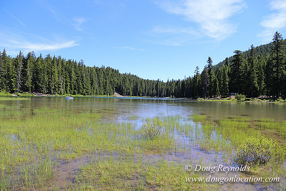 Frog Lake-3470