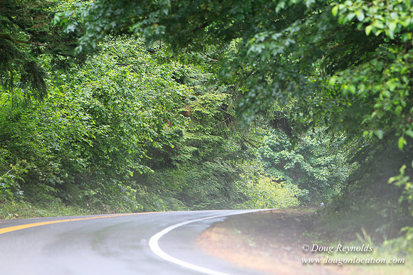 Brower Rd