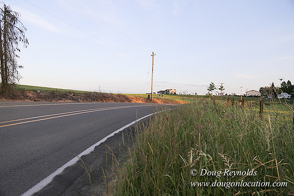 Mountaindale Rd-6439