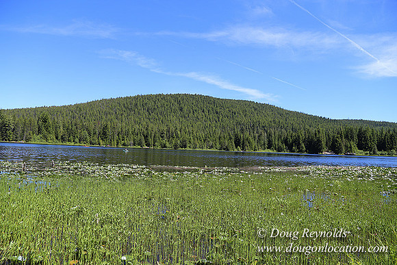 Trillium Lake-32003631