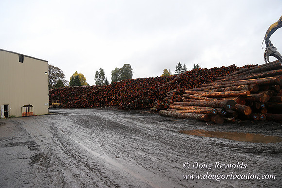 Saw Mill and Lumber Yard