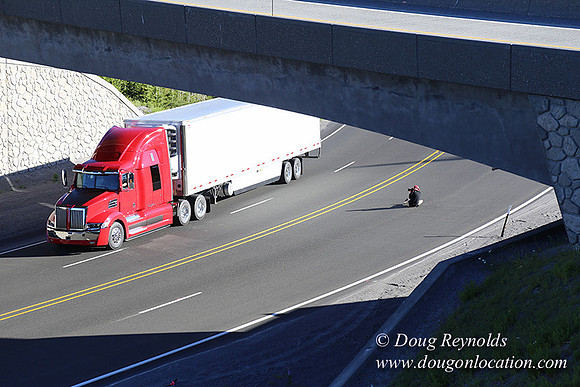 CMD Western Star Production Photo