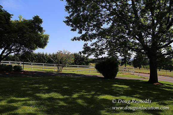 "2 Barns", "2 car garage", "40+ Acres", "PDX Zone", Pool, "White Fence", cows, "farm House", "rap around dive", "well maintained"