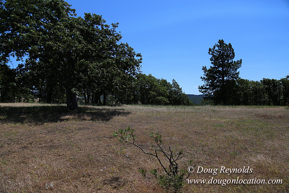 Brothers Ranch-8469