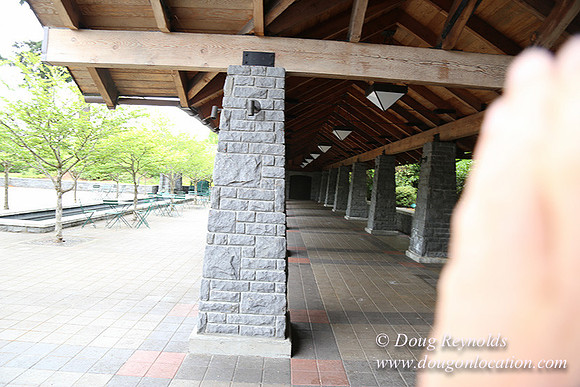 Oswego Market-6520