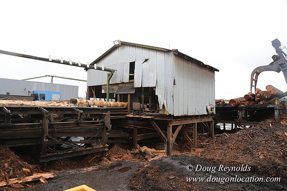 Saw Mill and Lumber Yard