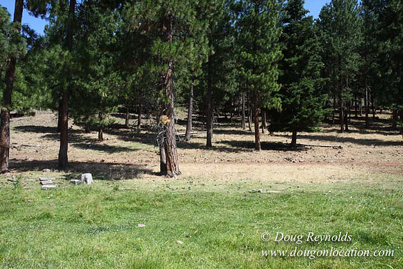 Ranch 18 South side of Hwy  has 2500 Acres of green fields Creeks water crossing Bridges on a Large Lake and miles of Dirt roads Oak trees  Forest land ATV Trails cows