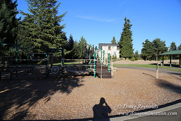 Lincoln Park-0598