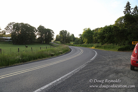 Mountaindale Rd-6423