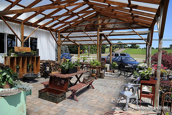 Little Door Farm Market-5411