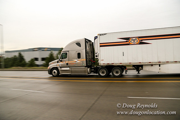 Marine Dr Overpass-5242