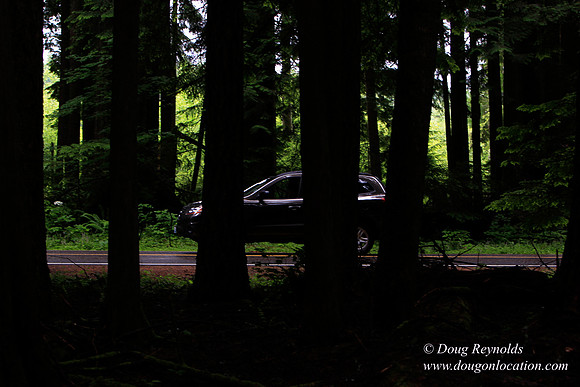 Larch Mt Rd