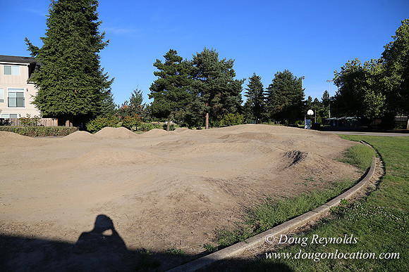 Lincoln Park-0586