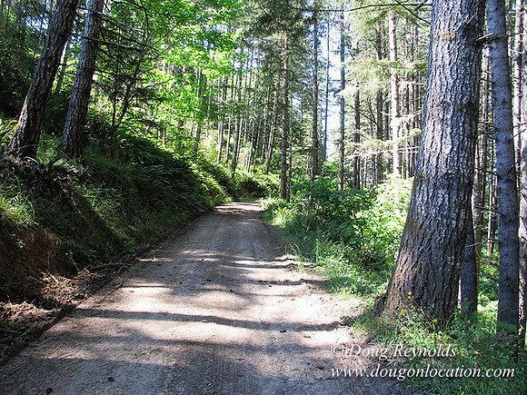 Ranch 6 has 2500 Acres of rolling green hills barns Creeks water crossing Bridges River and miles of Dirt roads Oak trees Cabins Forest land ATV Trails Camping