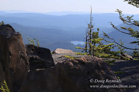 Timberline Rd View South-6987