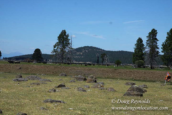 Ranch 18 South side of Hwy  has 2500 Acres of green fields Creeks water crossing Bridges on a Large Lake and miles of Dirt roads Oak trees  Forest land ATV Trails cows