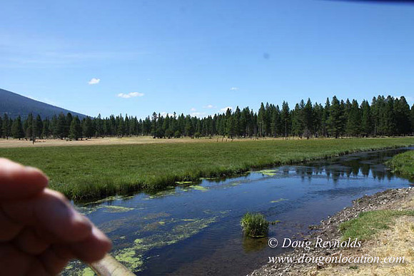 Ranch 18 South side of Hwy  has 2500 Acres of green fields Creeks water crossing Bridges on a Large Lake and miles of Dirt roads Oak trees  Forest land ATV Trails cows