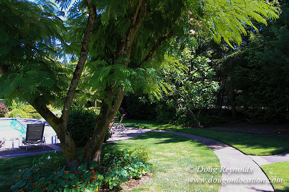 Jim’s Home Large beautiful traditional 2 story with large rooms. Modern kitchen and great room, and nook, large master suite, large entry with French doors. Well maintained grounds and garden, with la