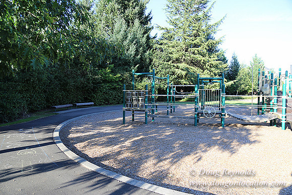 Lincoln Park-0597