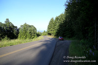 Oak Ridge Rd 2-7126