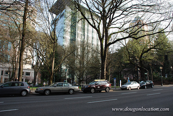 Chapman Square-0462