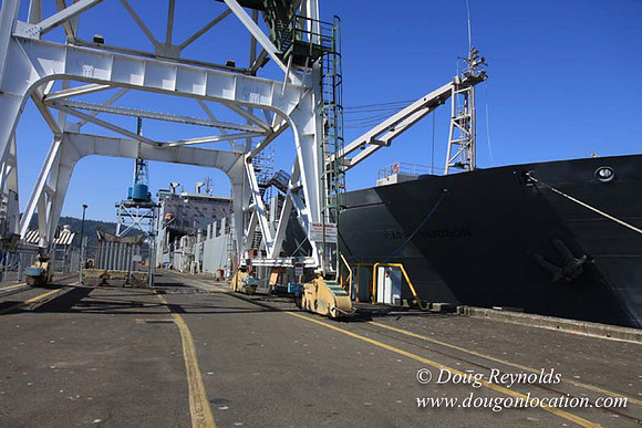 Ship Yard-0580