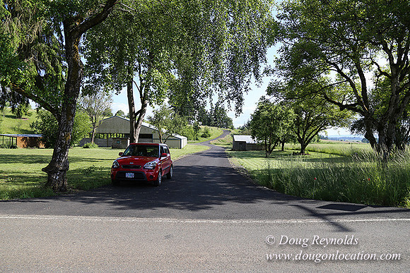 Helvetia rd at Mikes-5982