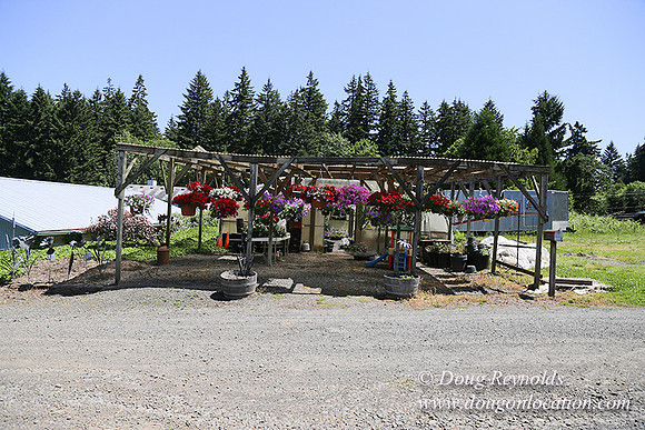 lee Farms-5281