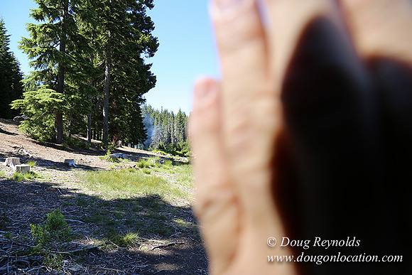Frog Lake-3459