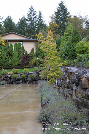 Kathy's House-0428