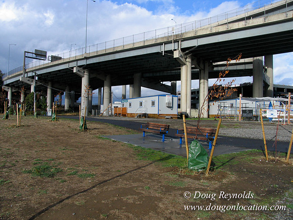E Bank Rowing dock-5237