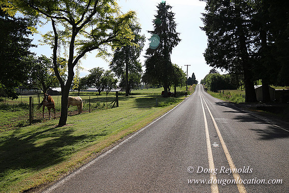 Helvetia rd at Mikes-5959