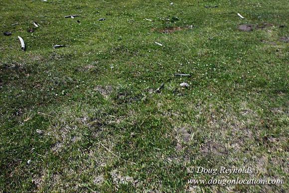 Ranch 18 South side of Hwy  has 2500 Acres of green fields Creeks water crossing Bridges on a Large Lake and miles of Dirt roads Oak trees  Forest land ATV Trails cows