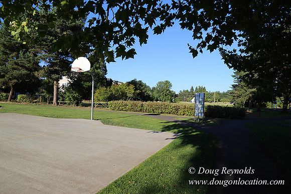 Lincoln Park-0629