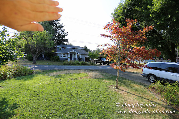 Nathans House Small, Bungalow, 2-bed rooms, "Small lot" city corner,