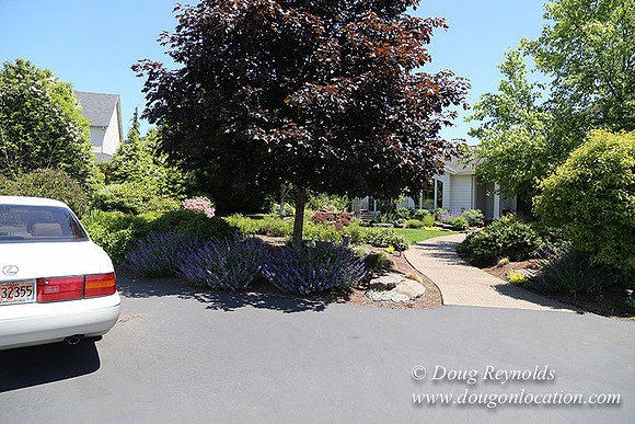 Scotts House-5306