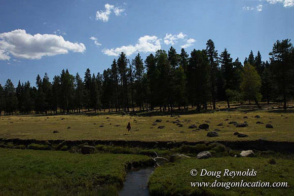 Ranch 18 South side of Hwy  has 2500 Acres of green fields Creeks water crossing Bridges on a Large Lake and miles of Dirt roads Oak trees  Forest land ATV Trails cows