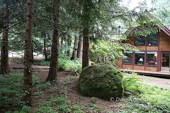 Gary's Cabin-7531