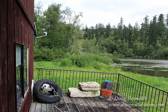 Roberts Lake House-4891