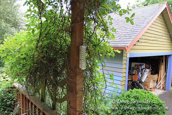 Laura’s Home This is a Portland Bungalow Style small home with a average sized and interesting back yard, nice garden with bee hive’s