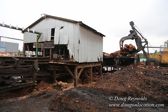 Saw Mill and Lumber Yard