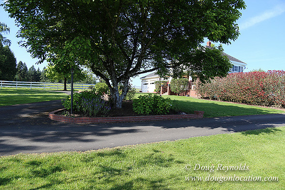 "2 Barns", "2 car garage", "40+ Acres", "PDX Zone", Pool, "White Fence", cows, "farm House", "rap around dive", "well maintained"