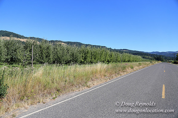 Thompson Rd Farm-8259