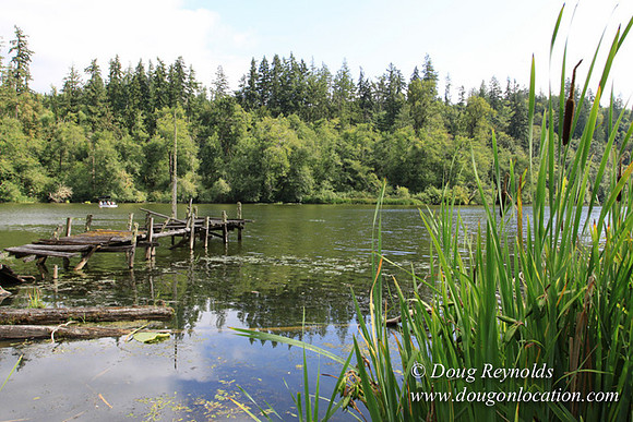 Roberts Lake House-4881