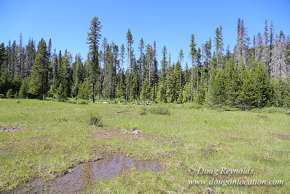 Frog Lake-3490