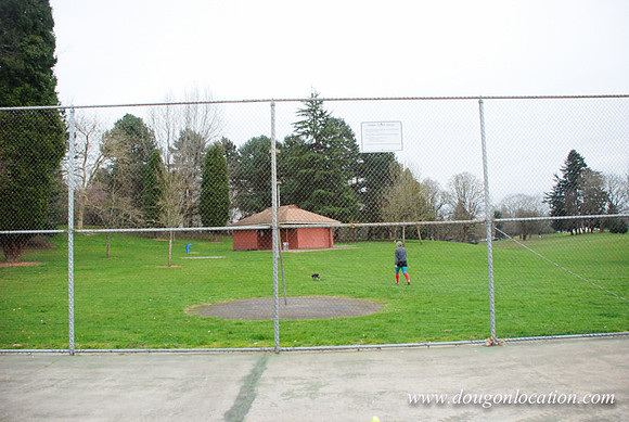 Fernhill Park