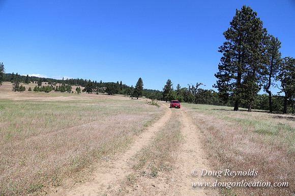 Brothers Ranch-8486